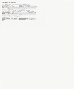 Persicaria lapathifolia (L.) Delarbre s.l.