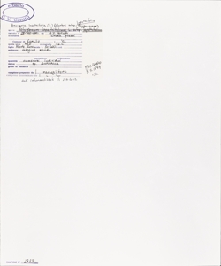 Persicaria lapathifolia (L.) Delarbre subsp. lapathifolia