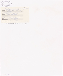 Peucedanum oreoselinum (L.) Moench