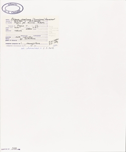 Phleum rhaeticum (Humphries) Rauschert