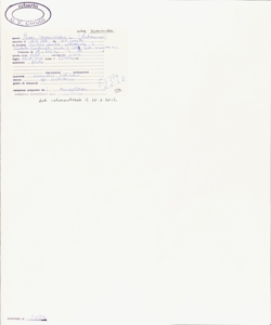 Picris hieracioides L. subsp. hieracioides