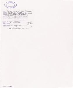 Pimpinella major (L.) Huds.