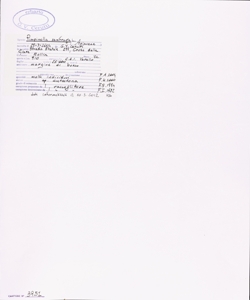 Pimpinella saxifraga L.