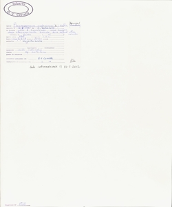 Pleurospermum austriacum (L.) Hoffm.