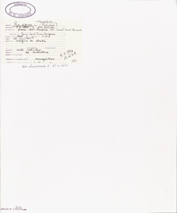 Poa alpina L. subsp. alpina