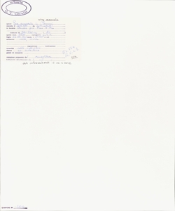 Poa nemoralis L. subsp. nemoralis