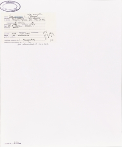 Poa nemoralis L. subsp. nemoralis