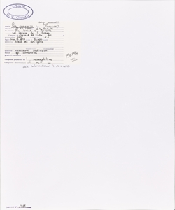 Poa nemoralis L. subsp. nemoralis