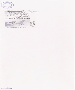 Polystichum braunii (Spenn.) F¿e