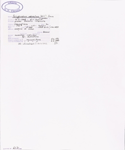 Polygonatum odoratum (Mill.) Druce