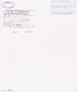 Polystichum setiferum (Forssk.) T. Moore ex Woyn.