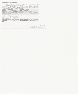 Polystichum setiferum (Forssk.) T. Moore ex Woyn.