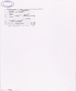 Primula veris L. subsp. suaveolens (Bertol.) Gutermann & Ehrend.