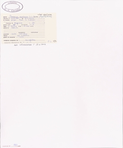 Pteridium aquilinum (L.) Kuhn subsp. aquilinum