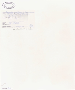 Ranunculus aconitifolius L.