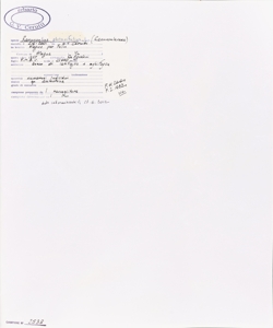 Ranunculus platanifolius L.