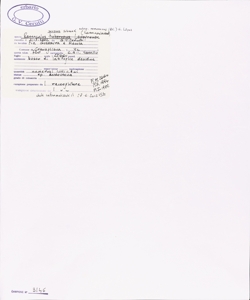 Ranunculus serpens Schrank subsp. nemorosum (DC.) G. L¿pez