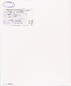 Ranunculus trichophyllus Chaix subsp. trichophyllus