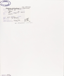 Raphanus raphanistrum L. subsp. raphanistrum