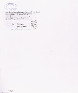 Rhinanthus glacialis Personnat subsp. glacialis