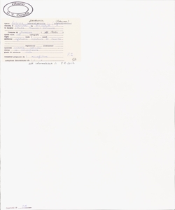 Robinia pseudacacia L.