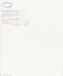 Rosa corymbifera Borkh.