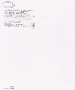 Rumex obtusifolius L. subsp. obtusifolius