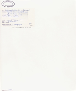 Salix appendiculata Vill.