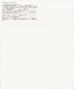 Samolus valerandi L.