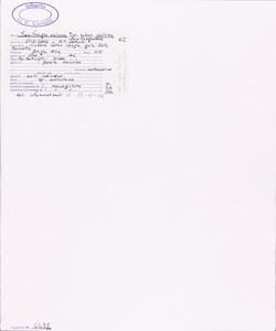 Saxifraga callosa Sm. subsp. callosa