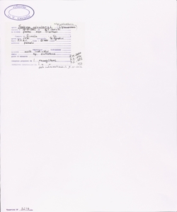 Scabiosa columbaria L. subsp. columbaria