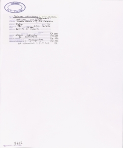 Scabiosa columbaria L. subsp. columbaria