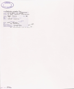 Scabiosa uniseta Savi