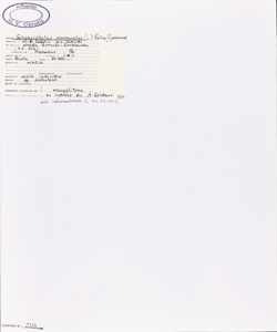 Schoenoplectus mucronatus (L.) Palla