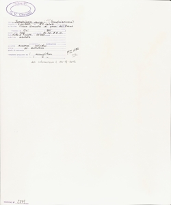 Scrophularia canina L. s.l.