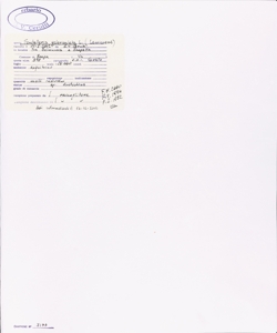 Scutellaria galericulata L.