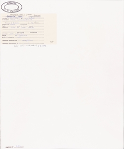 Securigera varia (L.) Lassen