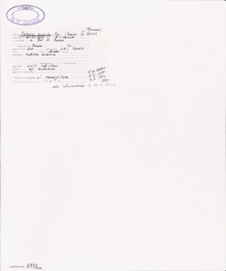 Setaria pumila (Poir.) Roem. & Schult.