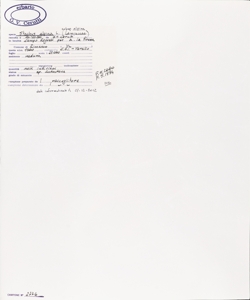 Stachys alpina L. subsp. alpina