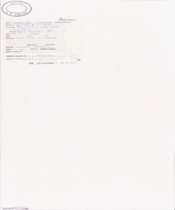 Sinapis alba L. subsp. alba