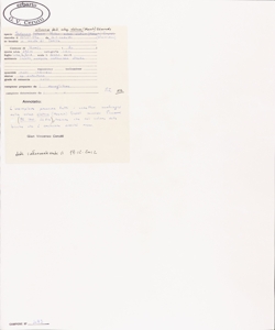 Solanum villosum Mill. subsp. alatum (Moench) Edmonds