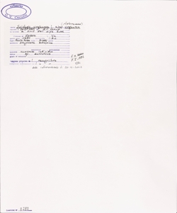 Solidago virgaurea L. subsp. virgaurea