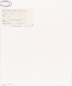 Sonchus oleraceus L.