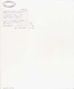 Sorbus aria (L.) Crantz subsp. aria