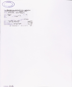 Sparganium erectum L. subsp. neglectum (Beeby) K. Richt.