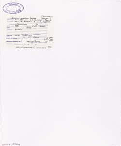 Stachys pradica (Zanted.) Greuter & Pignatti