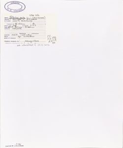 Stachys recta L. subsp. recta