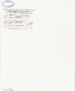 Tephroseris longifolia (Jacq.) Griseb. & Schenk subsp. gaudinii (Gremli) K