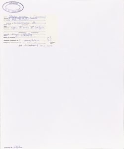 Stachys sylvatica L.