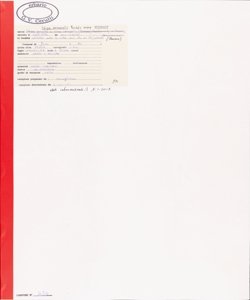 Stipa eriocaulis Borb¿s subsp. eriocaulis